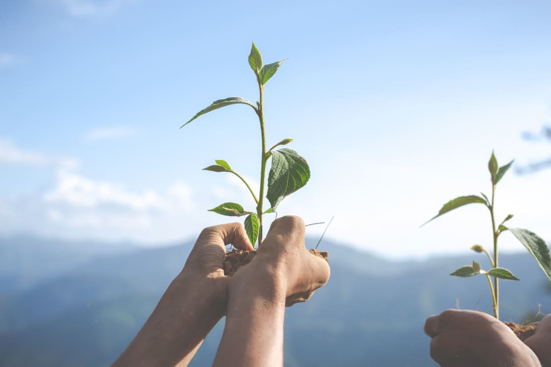 Integración de lo social y lo ambiental: el cambio que lidera Ficohsa